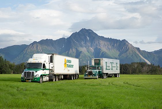 Full truckload and less than truckload shipping options via ground.